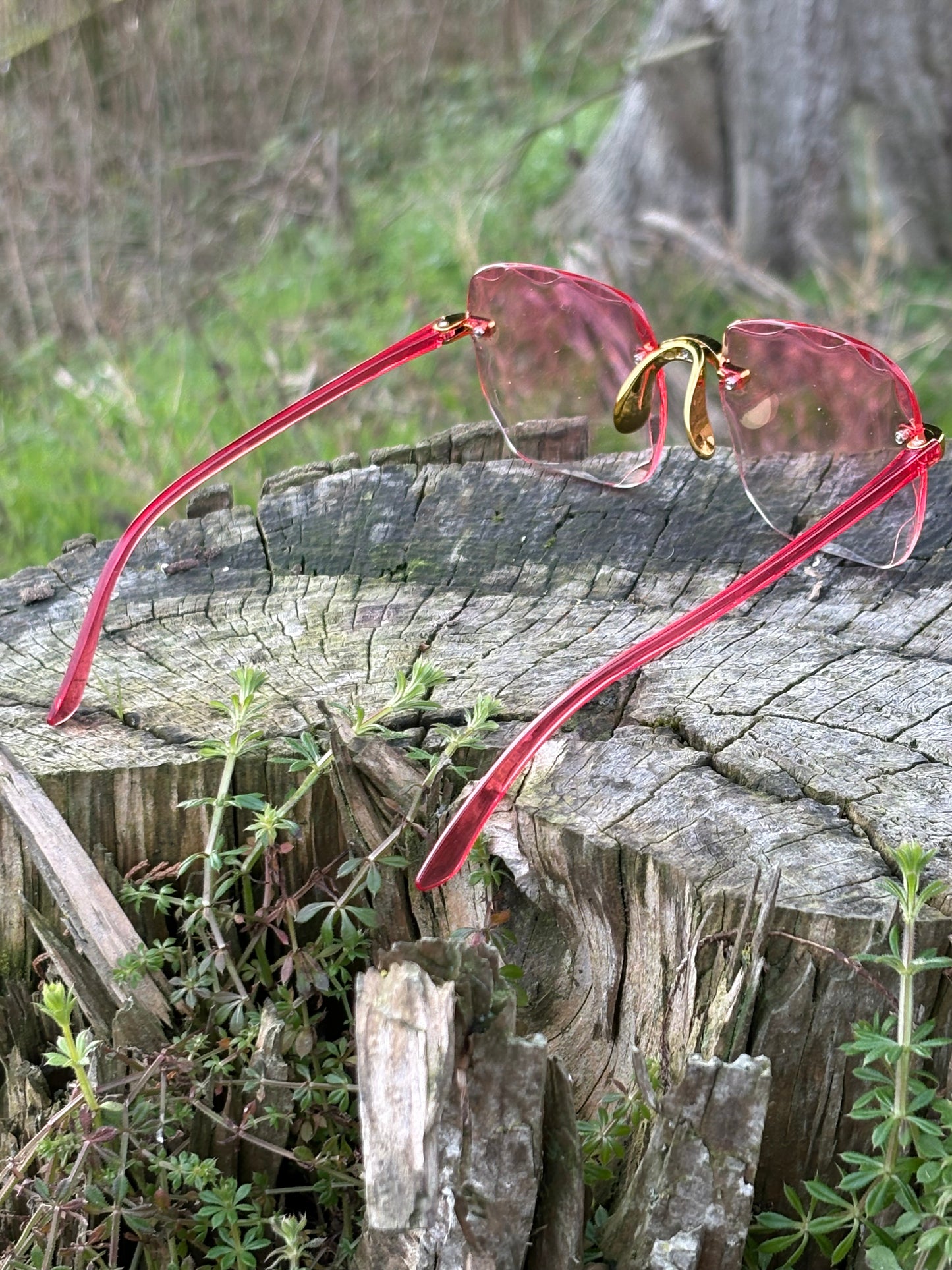 Women's Rose Aurora  Sunglasses