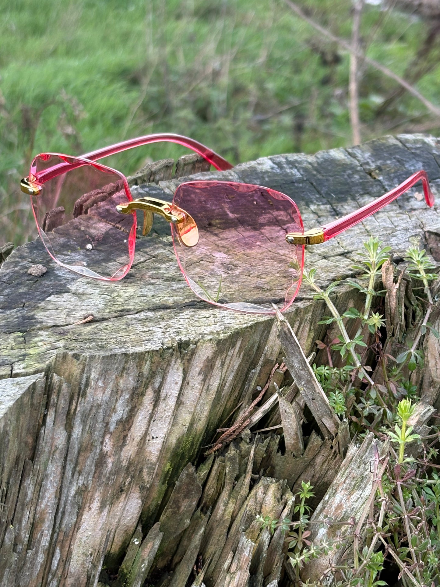 Women's Rose Aurora  Sunglasses