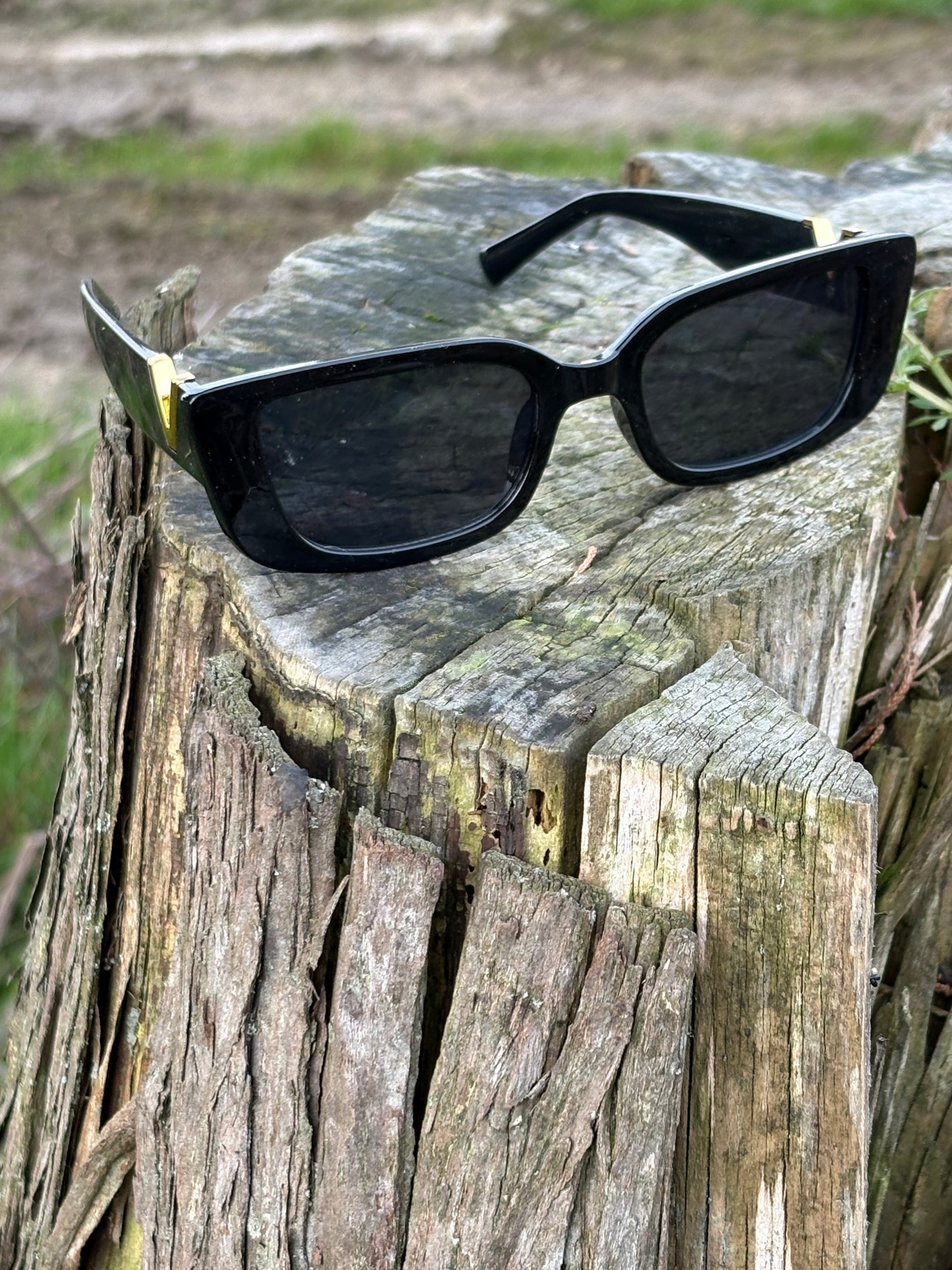 Womens Obsidian Sunglasses