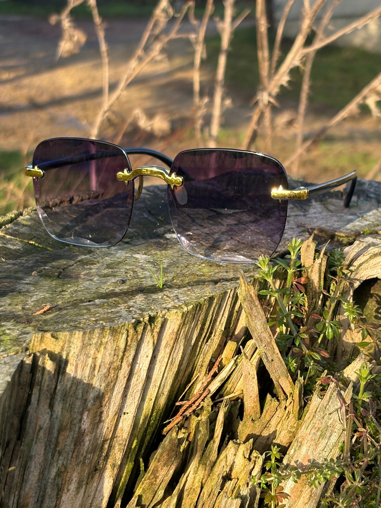 Women's Aurora Eclipse Sunglasses